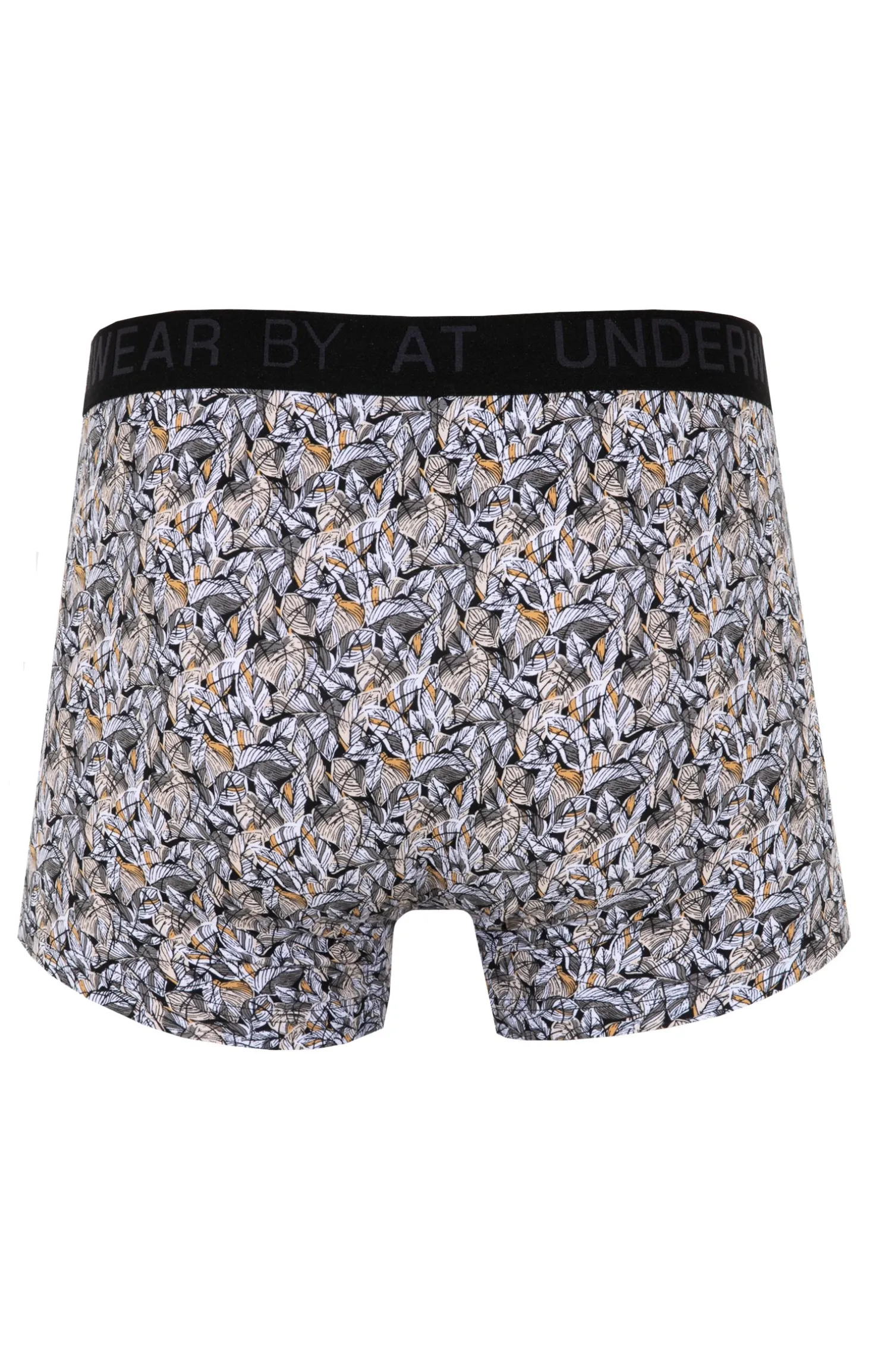 Boxer Jenny -