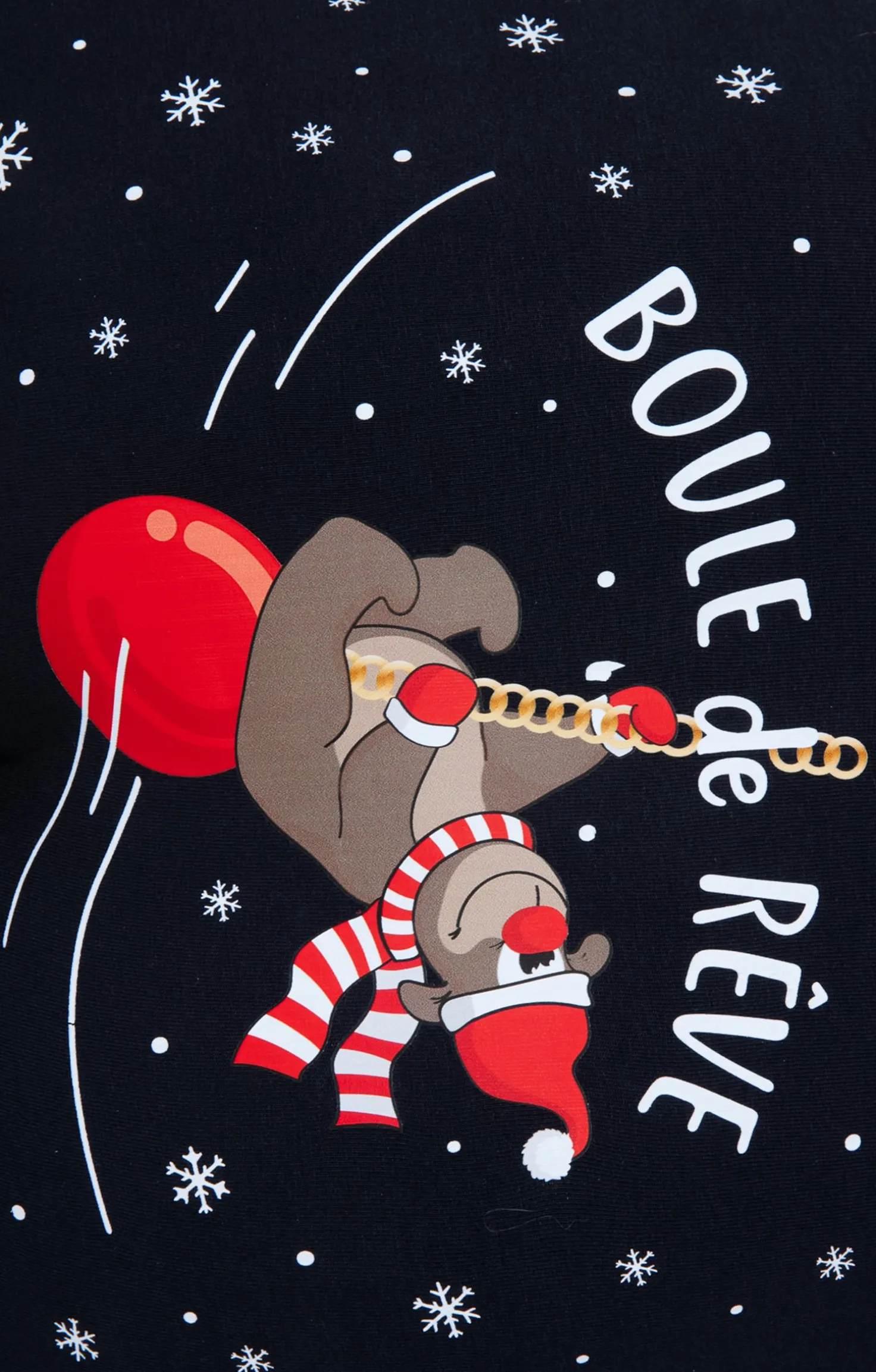 Boxer rêve -