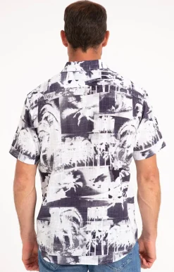 Chemise manches courtes PALMITO -