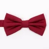 Noeud papillon en soie -
