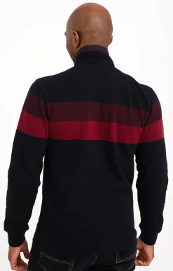 Polo col montant manches longues Raysin -