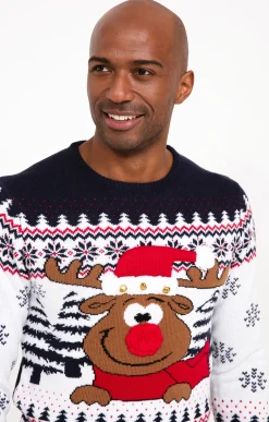 Pull de Noël CERF -