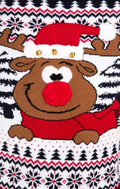 Pull de Noël CERF -